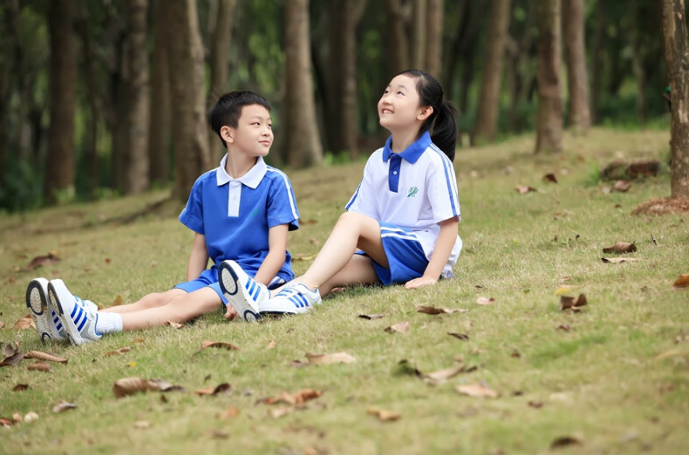 学生学籍信息数据核对的新方法：【核对信息】小程序缩略图